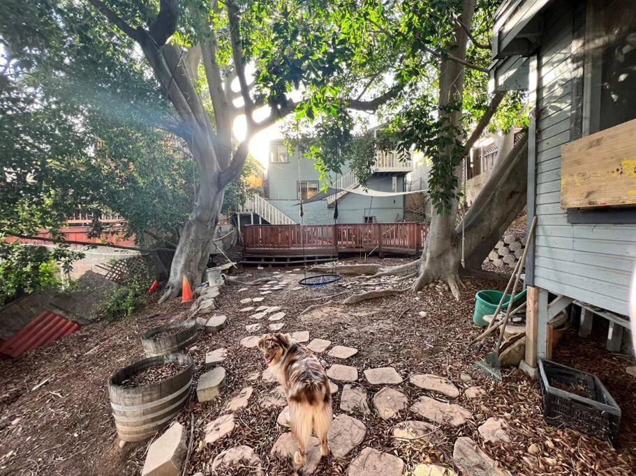 Central San Diego Lower Duplex, Huge Yard, Fenced Esterno foto